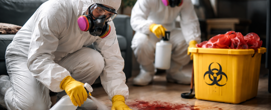 Create a highly realistic, eye-catching, premium blog cover image based on